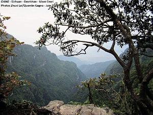 Emeishan 146